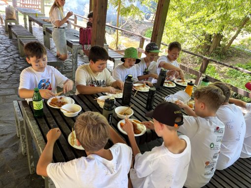 8ff2f02c-d0f6-43fe-91cc-2555ea878b4a