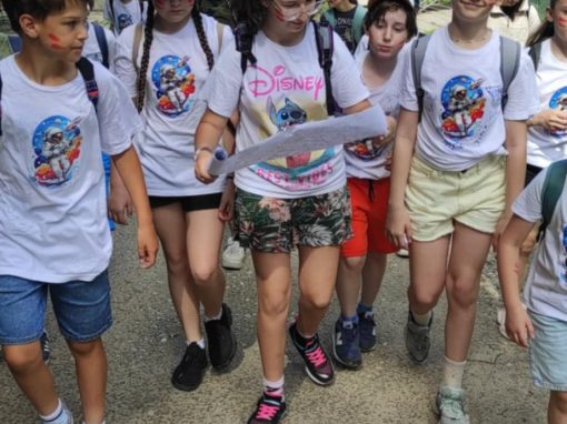 94c9dca2-eadb-4e70-a083-ad9c7d1a5b51