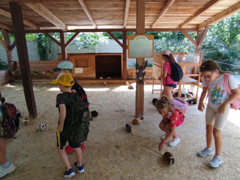Koncoročný výlet prvákov do Ekoparku v Piešťanoch