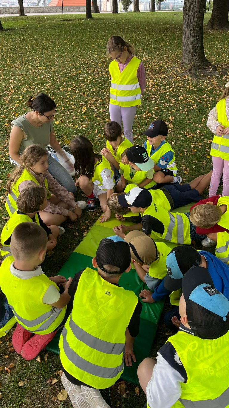 Ochrana života a zdravia