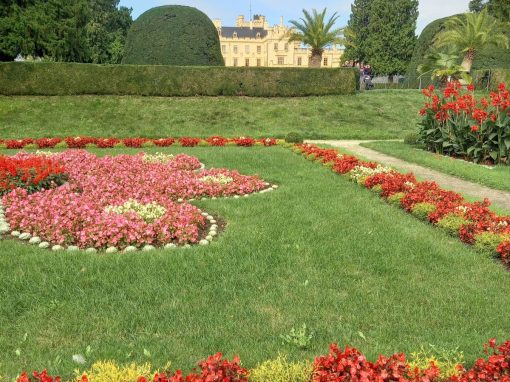 WhatsApp Image 2025-10-10 at 15.44.10