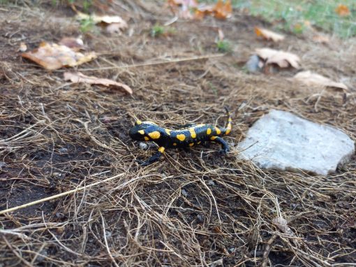 WhatsApp Image 2025-10-21 at 07.04.12