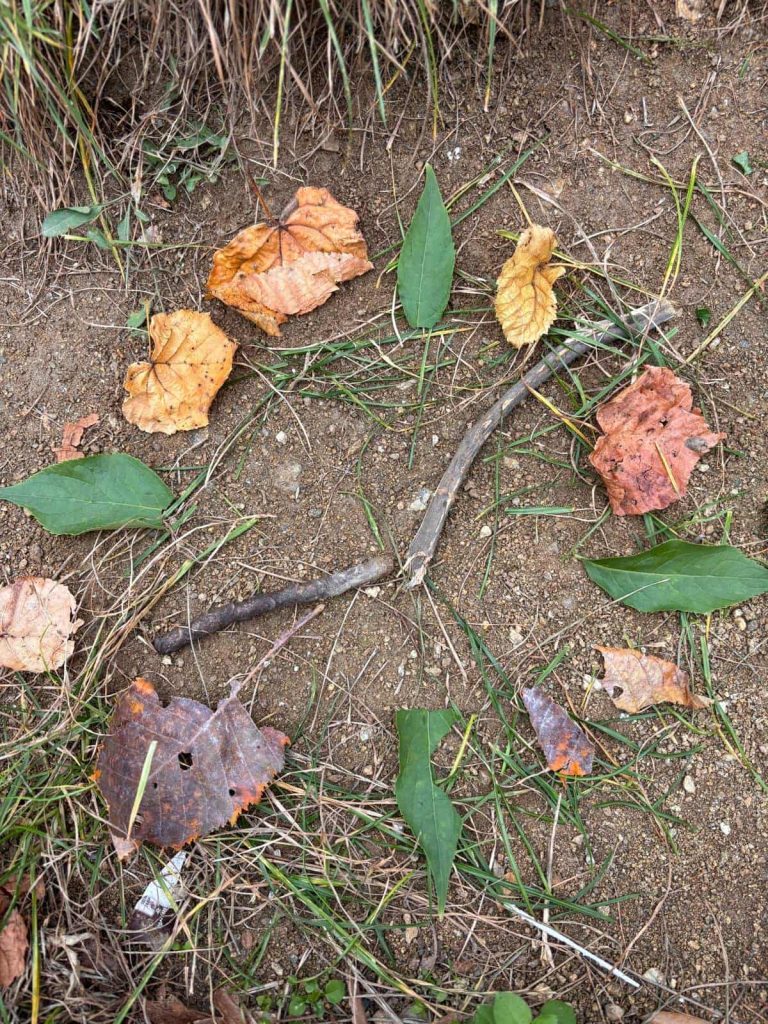 Jesenné učenie vonku