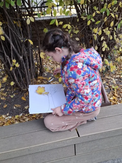 Medzinárodný deň stromov