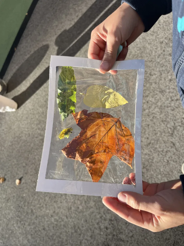 Obrázky z prírod(nin)y