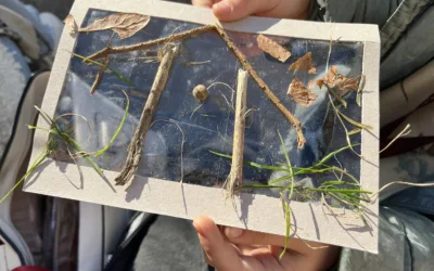 Obrázky z prírod(nin)y