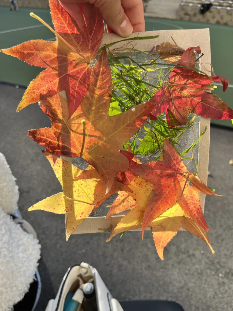 Obrázky z prírod(nin)y