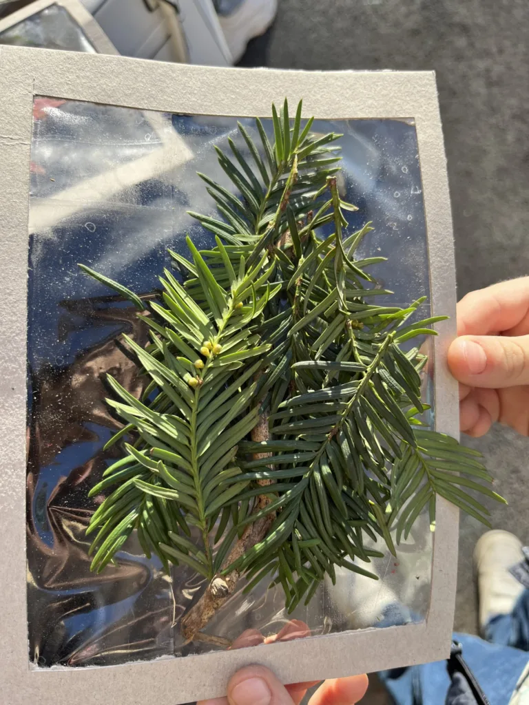 Obrázky z prírod(nin)y