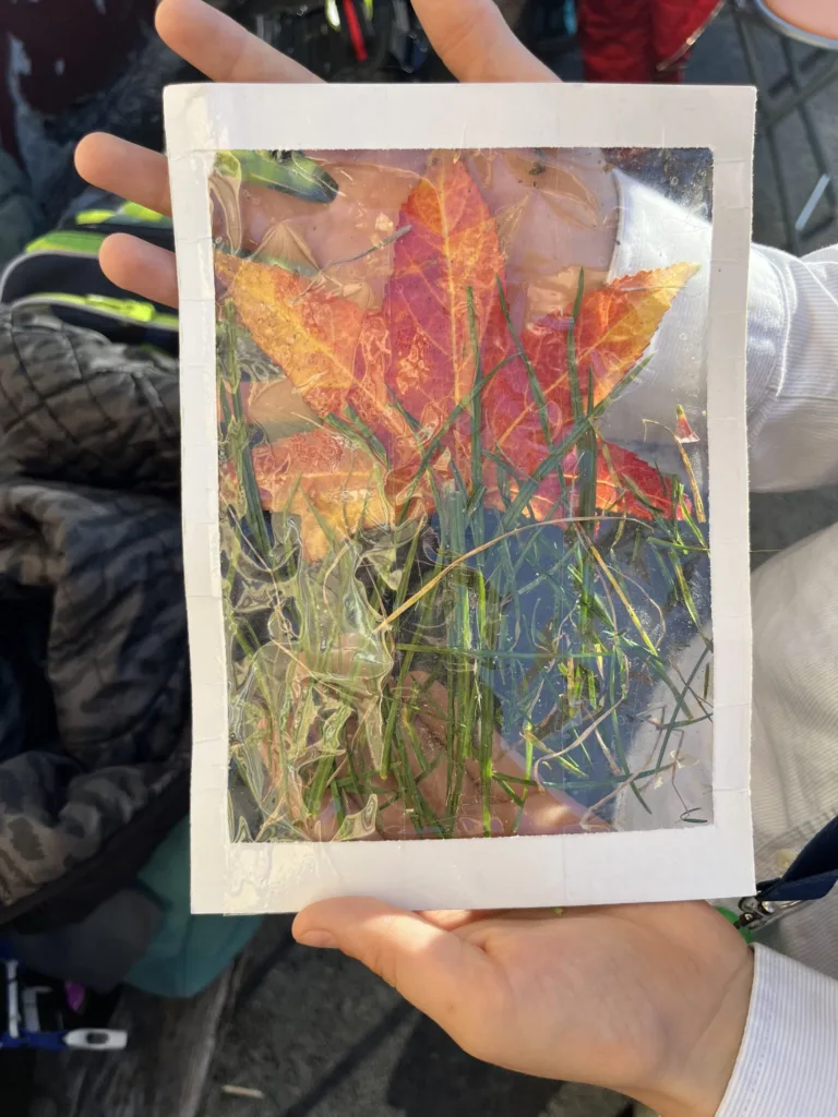 Obrázky z prírod(nin)y