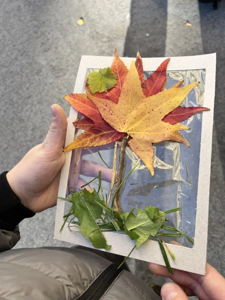 Obrázky z prírod(nin)y