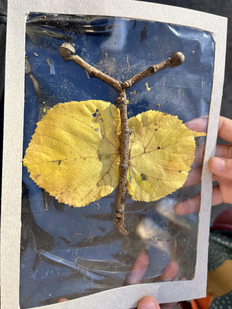 Obrázky z prírod(nin)y