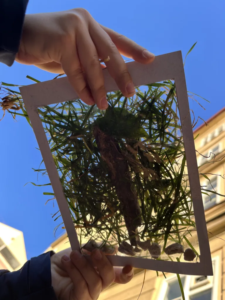 Obrázky z prírod(nin)y