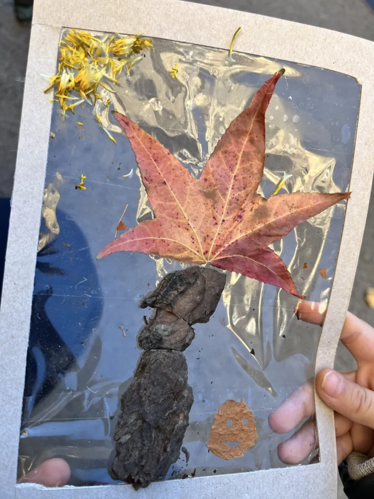 Obrázky z prírod(nin)y