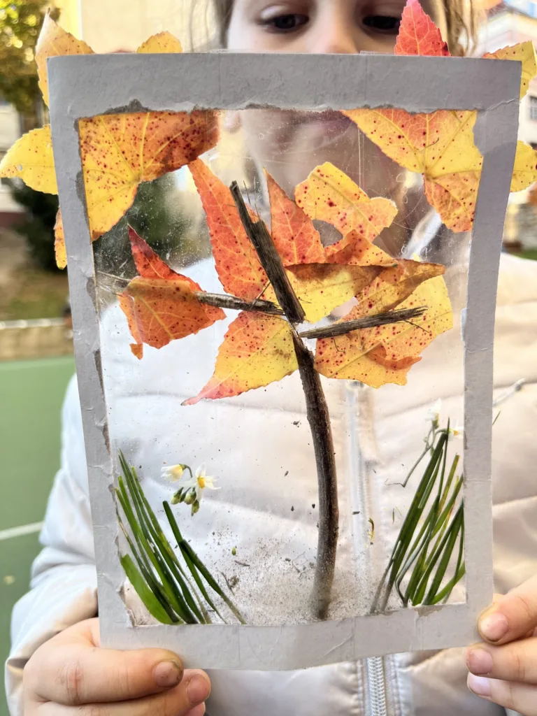 Obrázky z prírod(nin)y