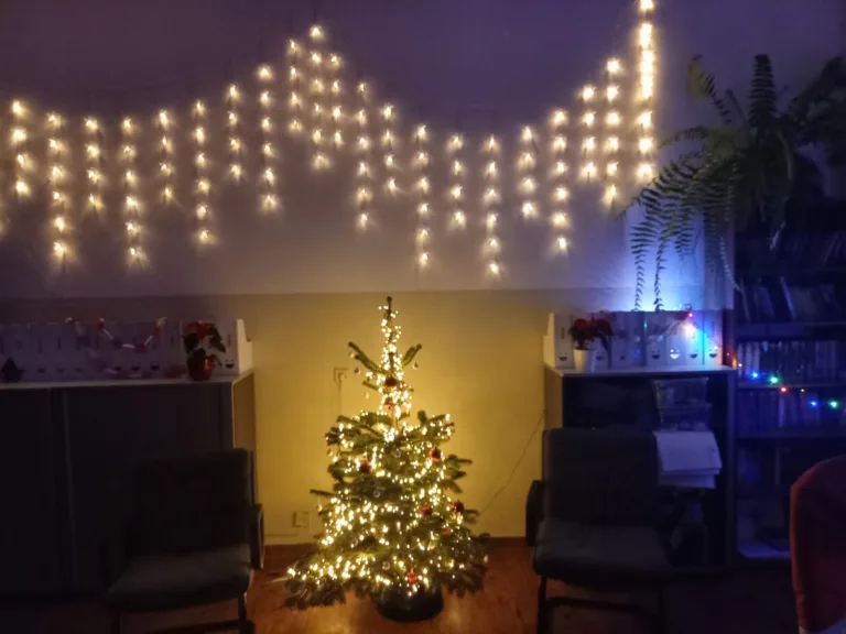 Ako sme sa pripravovali na Vianoce