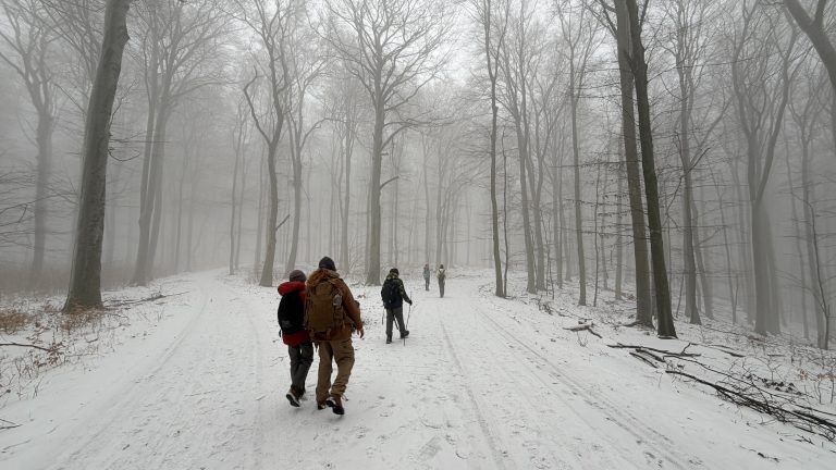 S turistickým krúžkom zo Záhorskej Bystrice cez Kačín na Vinohrady