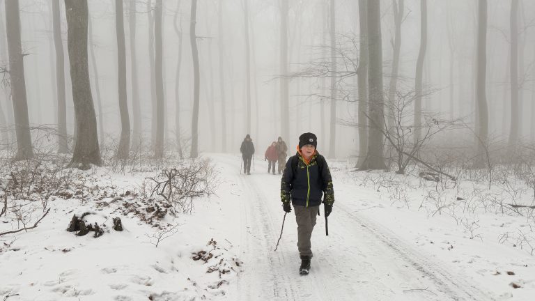 S turistickým krúžkom zo Záhorskej Bystrice cez Kačín na Vinohrady
