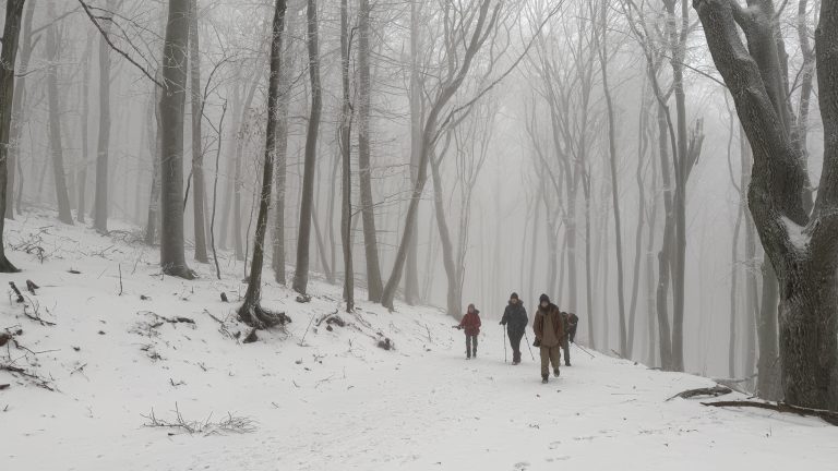 S turistickým krúžkom zo Záhorskej Bystrice cez Kačín na Vinohrady