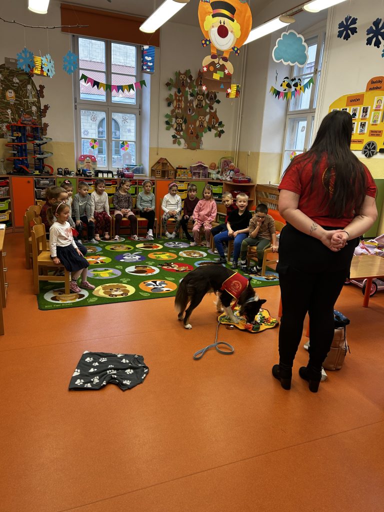 Návšteva psíka z Canisterapeutického združenia v materskej škole