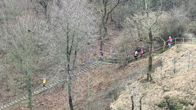 S turistickým krúžkom Brnom popri rieke Svratke do ZOO