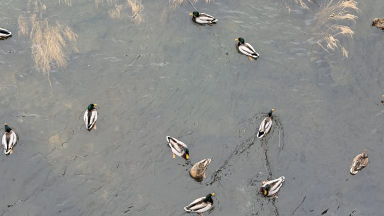 S turistickým krúžkom Brnom popri rieke Svratke do ZOO