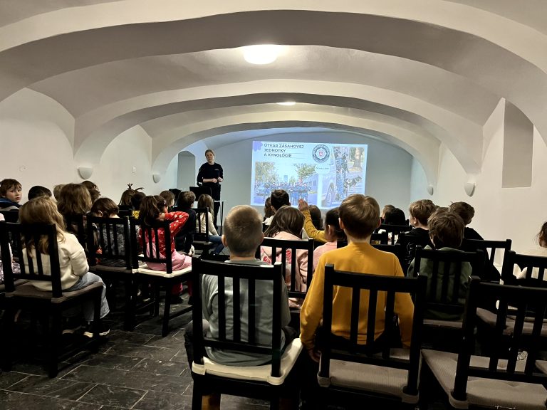 Cestná bezpečnosť