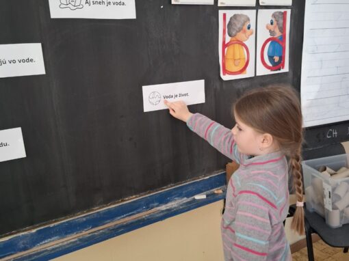 5e41e465-727c-4f29-8d31-d3e60e03f852