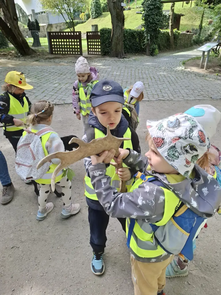 Lesná pedagogika v Horskom parku