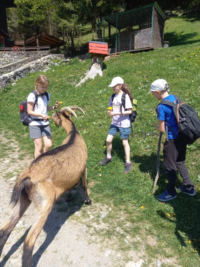 S turistickým krúžkom pohorím Malá Fatra. Chata pod Suchým