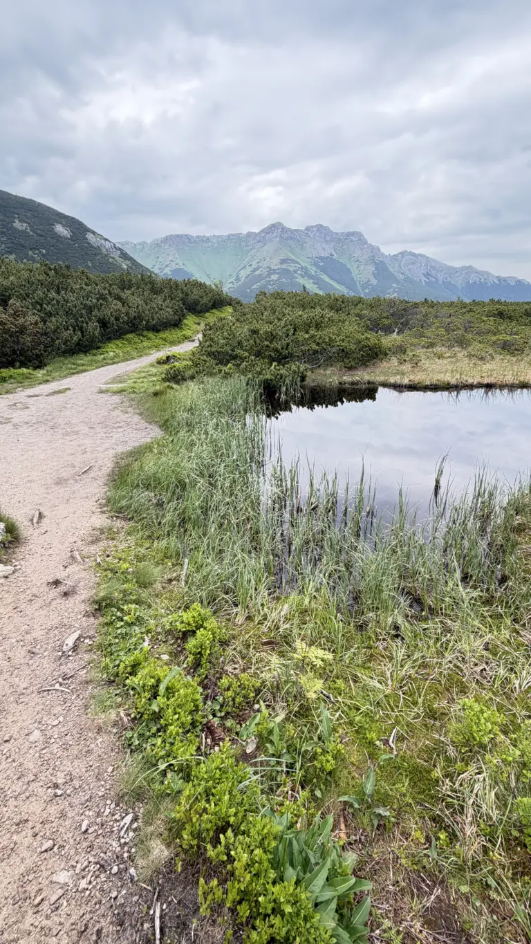 S turistickým krúžkom vo Vysokých Tatrách