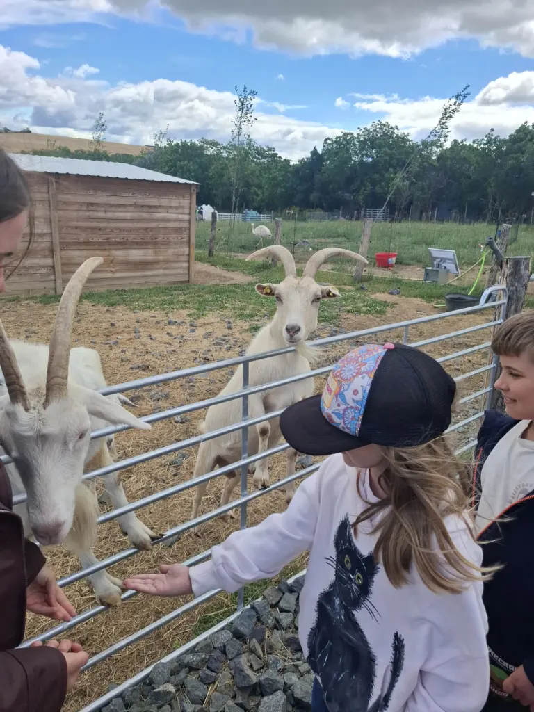 Prváci na koncoročnom výlete na farme