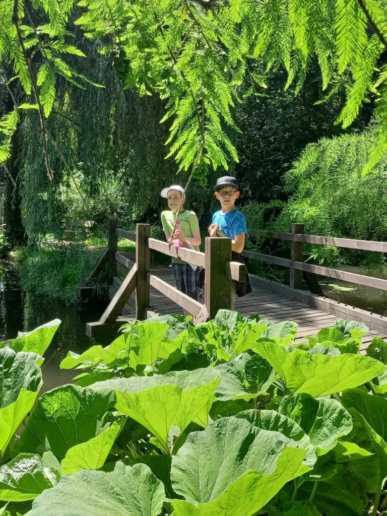 Piataci v Botanickej záhrade